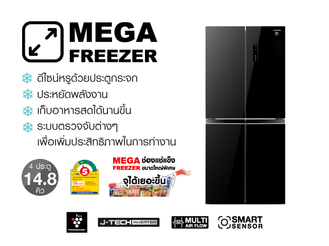 SJ-FX42GP-BK